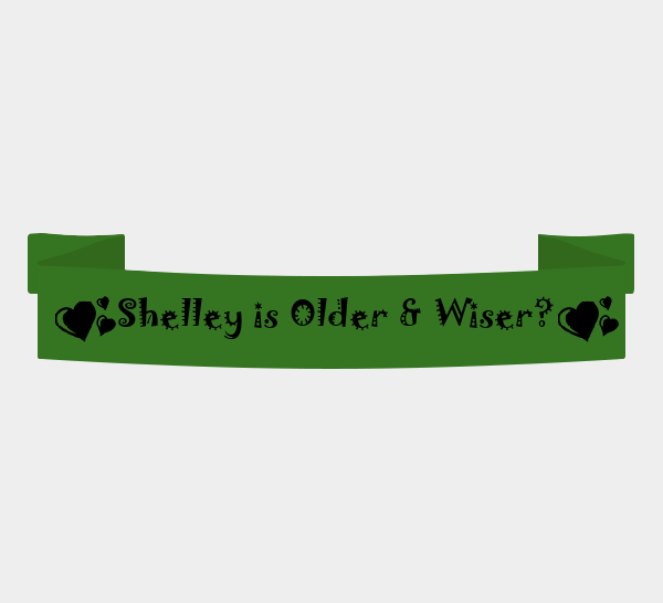 shelleyisolderwiser